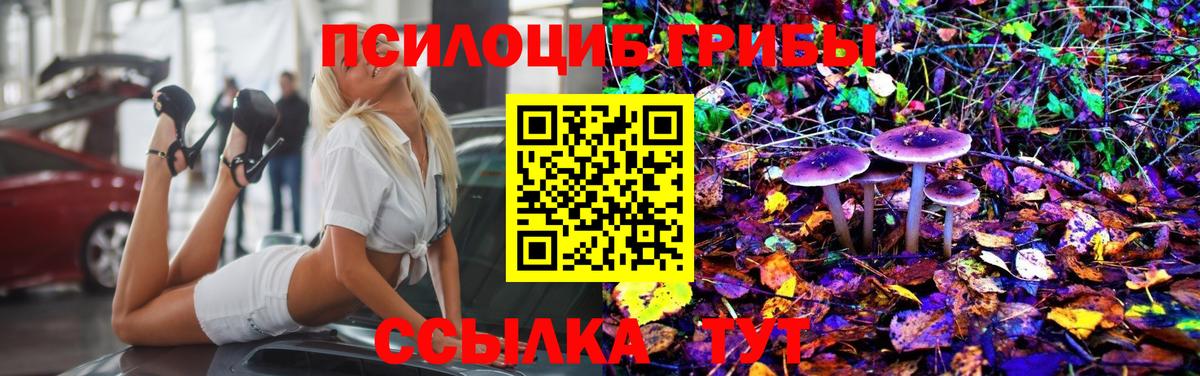 Галлюциногенные грибы прущие грибы  Галлюциногенные грибы мицелий  Вход с VPN  Шадринск 