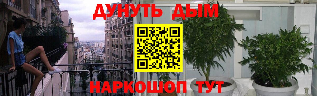 Марихуана гибрид  Каннабис сатива  Шадринск  Вход с VPN  Бошки Шишки VHQ 